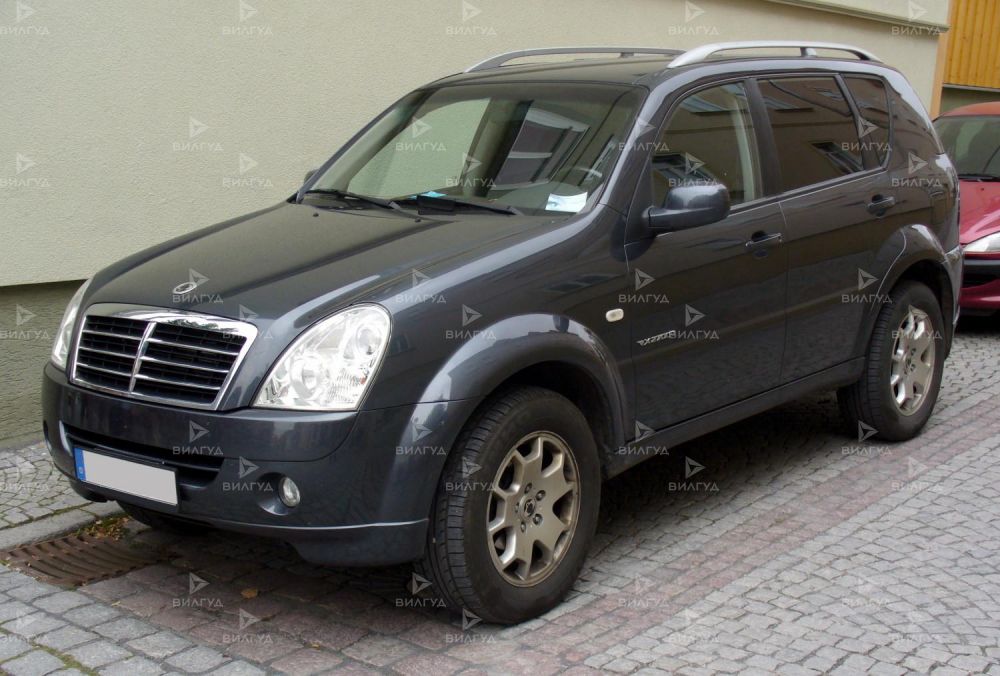 Ремонт дроссельного узла Ssangyong Actyon в Оренбурге